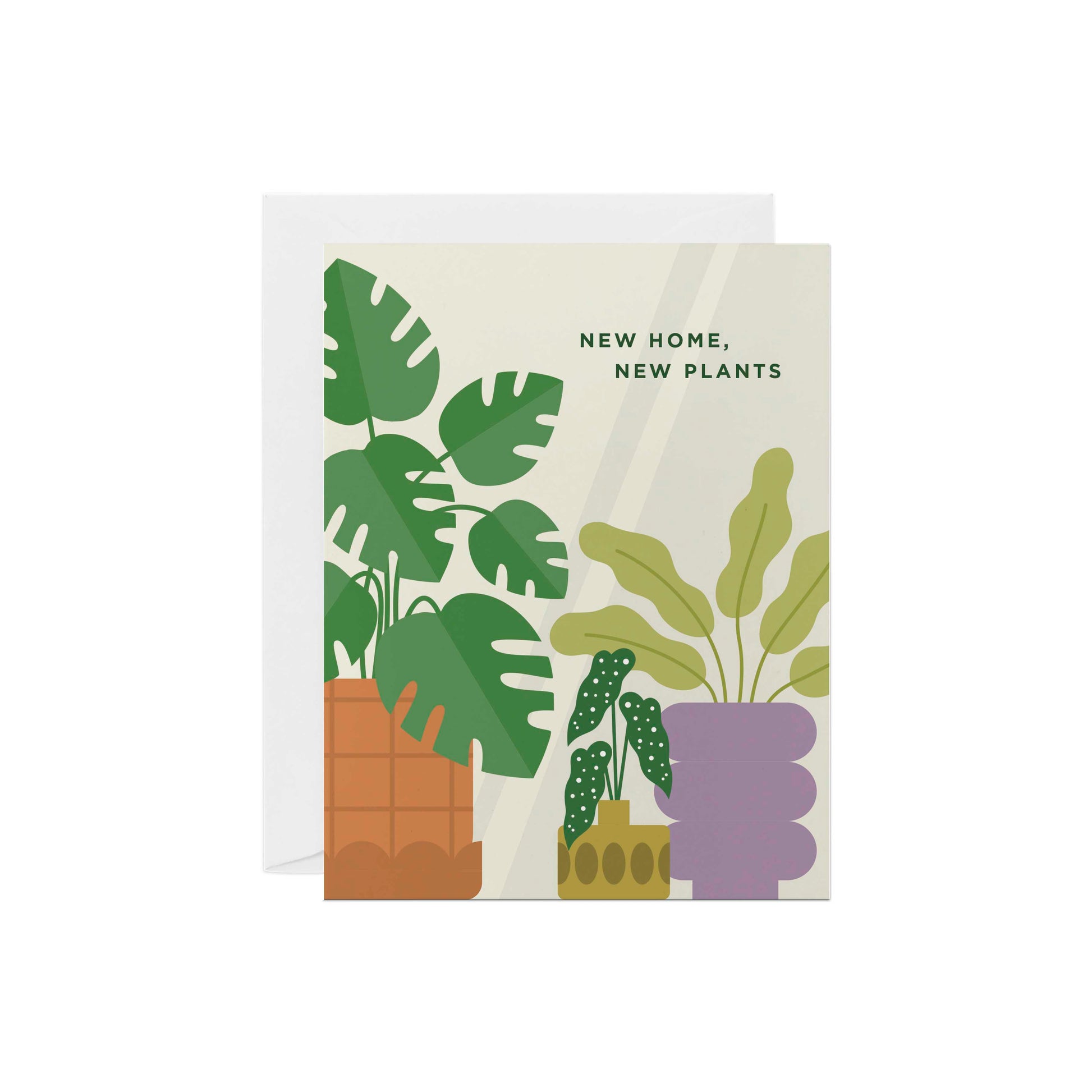 New Home, New Plants