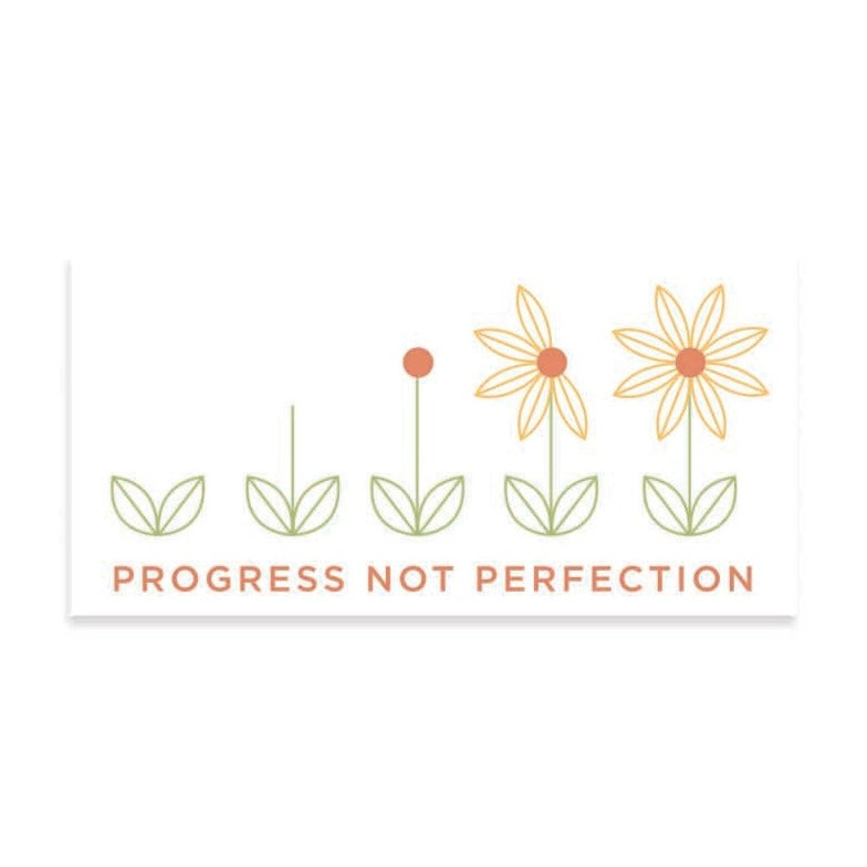 Progress Not Perfection