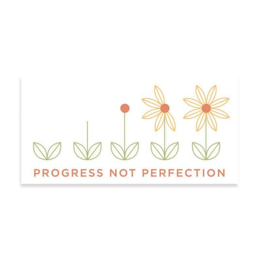 Progress Not Perfection